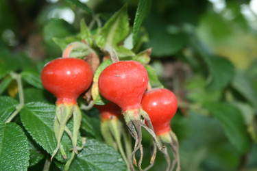 Similar image 1429130