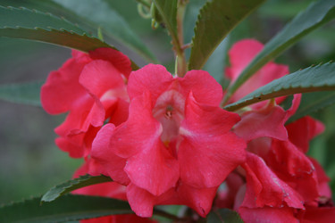 Similar image 1429132