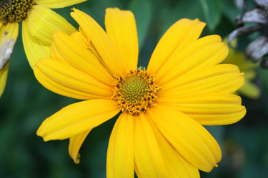 Similar image 1429134