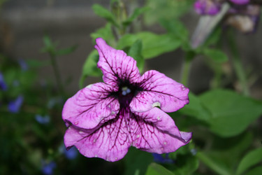 Similar image 1429138