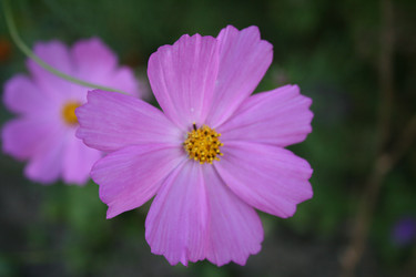 Similar image 1429141