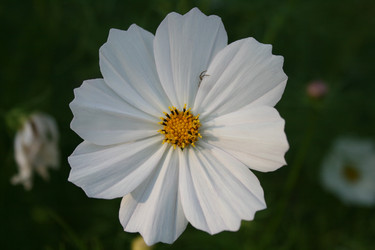 Similar image 1429142