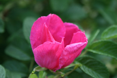 Similar image 1429144