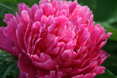 Similar image 1429145