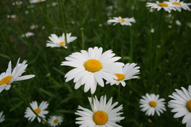 Similar image 1429146