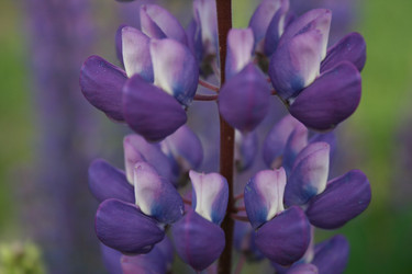 Similar image 1429147