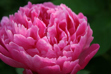 Similar image 1429149