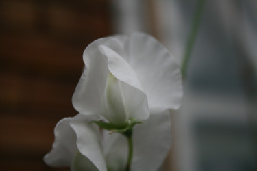 Similar image 1429150