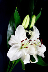 Similar image 1429151