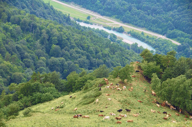 Similar image 1429156