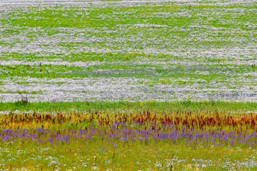 Similar image 1429168