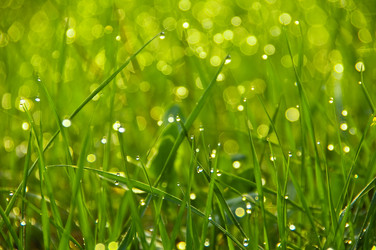 Similar image 1429170