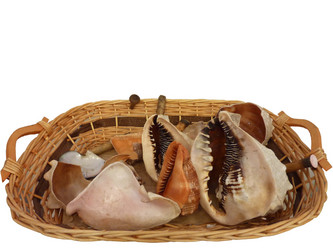 Similar image 1429180