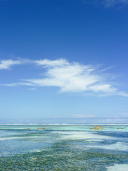 Similar image 1429184