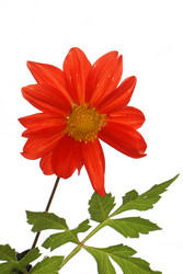 Similar image 1429191