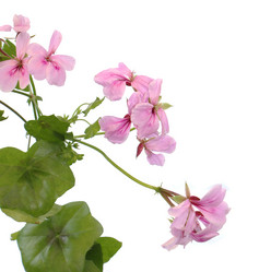 Similar image 1429192