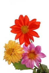 Similar image 1429200