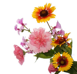 Similar image 1429203