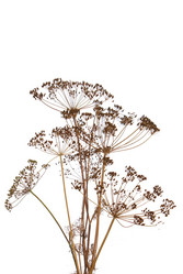 Similar image 1429205