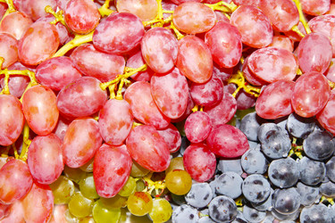 Similar image 1429231