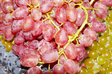 Similar image 1429234