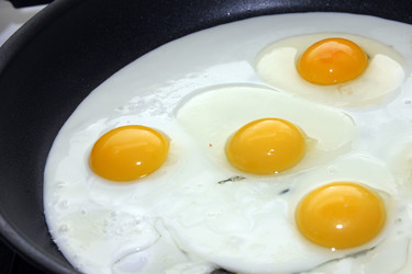 Similar image 1429255