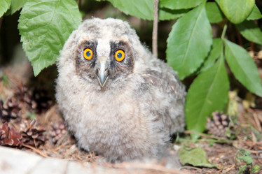 Similar image 1429256