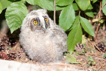 Similar image 1429257