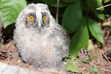 Similar image 1429258