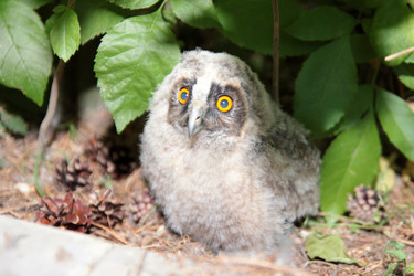 Similar image 1429259