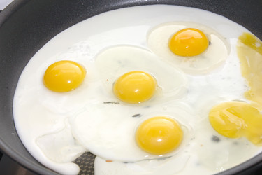 Similar image 1429261