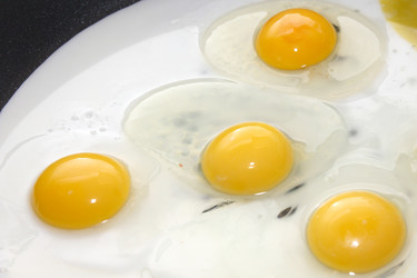 Similar image 1429263