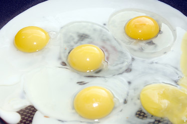 Similar image 1429264