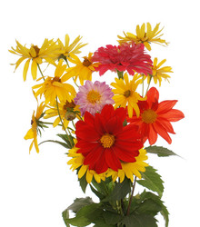 Similar image 1429273