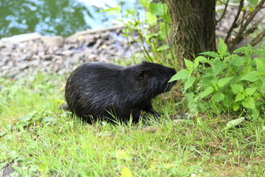 Similar image 1429352