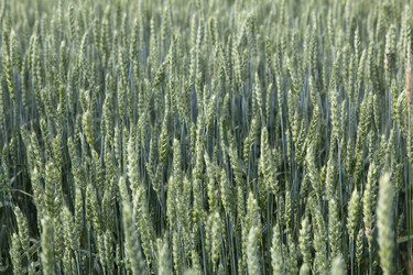 Similar image 1429359