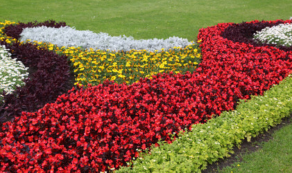 Similar image 1429367