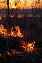 Similar image 1429391