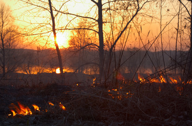 Similar image 1429394