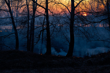 Similar image 1429395