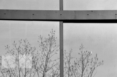 Similar image 1429398