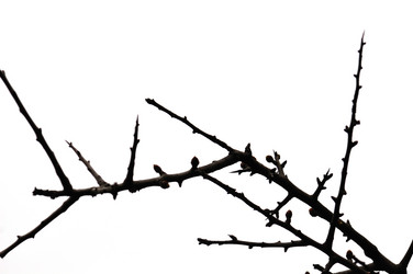 Similar image 1429424