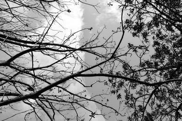 Similar image 1429431