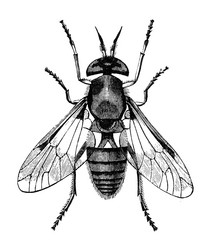 Similar image 1429469