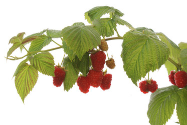 Similar image 1429502