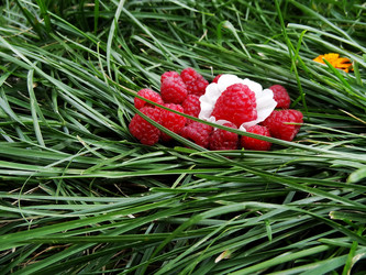 Similar image 1429509