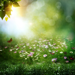 Similar image 1429513