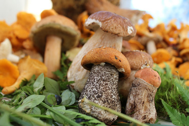 Similar image 1429514