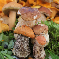 Similar image 1429515