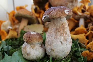 Similar image 1429517